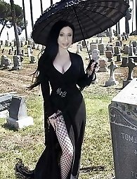 Tranny babes on porno gallery